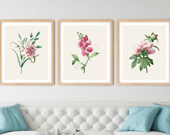 ピンクの花のボタニカルアートプリント3枚セット - ルドゥーテスタイル