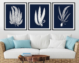Láminas de helechos azul marino: conjunto de 3 acuarelas botánicas