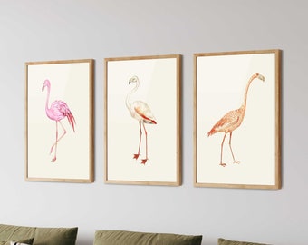 Flamingo Prints Set: Restored Vintage Tropical Wall Art