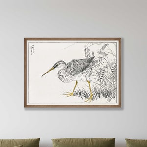 Japanese Bird Print – Eastern Whimbrel Wisteria Vine Wall Art