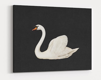 Black Swan Wall Art - Antique Farmhouse Wall Decor FRAMED, CANVAS