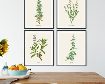 Vintage kruidenbotanische prints set van 4 - muurkunst boerderij keuken
