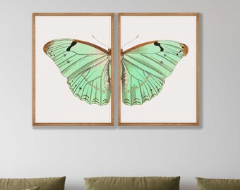 Vintage Green Butterfly Print Set: Boho Natural History Wall Art
