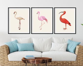 Flamingo Prints Set of 3 - Vintage Tropical Wall Art