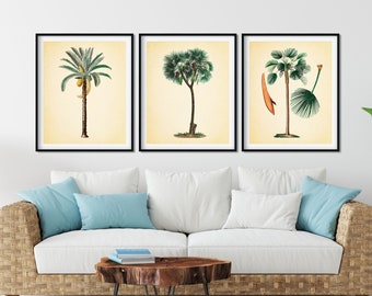 Vintage Palm Tree Prints Set of 3 - Tropical Botanical Art