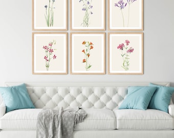 Juego de 6 láminas botánicas de flores silvestres - Decoración de pared para cocina de estilo rústico