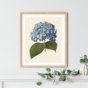 impression vintage d&#39;hortensias - art botanique bleu, art mural hortensia, impressions de cuisine, décoration de cuisine, impression botanique, décoration botanique