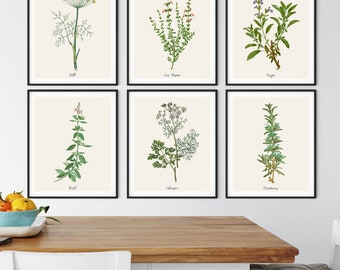 Vintage Herb Botanical Prints: Kitchen Wall Art Set of 6