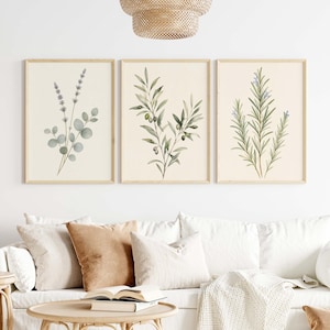 Könnte beinhalten: Drei rechteckige Wandbilder in hellen Holzrahmen mit botanischen Illustrationen auf cremefarbenem Hintergrund. Das linke Bild zeigt Lavendel und Eukalyptus, das mittlere Olivenzweige und das rechte Bild stellt Rosmarin dar.
