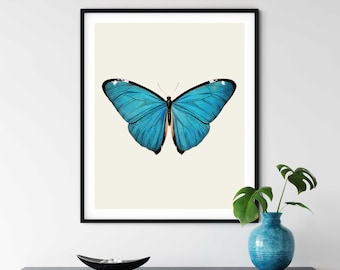 Vintage blauwe vlinderprint: natuurhistorische illustratie, boerderijdecor