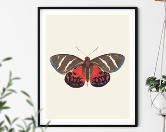 impression papillon marron vintage - art mural papillon, art papillon, affiche papillon, art histoire naturelle, art mural chambre d'enfant, décoration de ferme