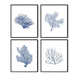 Indigoblauw koraal wordt afgedrukt Set van 4 - afdrukken blauwe zeekoraal, kustdecor, decor strandhuisje, kustkunst, kustafdrukken, nautische kunst