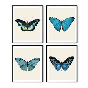 Vintage Butterfly Print Set of 4 - Butterfly Wall Art, Butterfly Decor, Gallery Wall Art, Beach House Decor, Natural History Art,Nursery Art