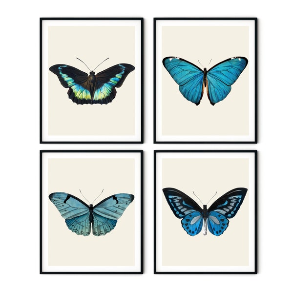 Vintage Butterfly Print Set of 4 - Butterfly Wall Art, Butterfly Decor, Gallery Wall Art, Beach House Decor, Natural History Art,Nursery Art