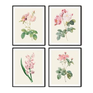Lot de 4 imprimés fleurs roses - art botanique rose, impression roses roses, décoration murale cuisine, impression roses Redoute, art mural ferme, art salon