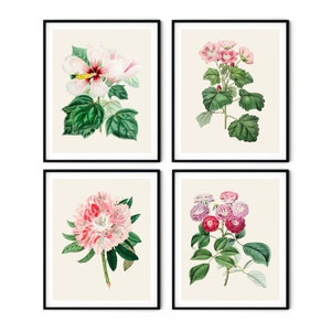 Pink Botanical Print Set of 4 - Pink Flower Prints, Pink Roses Print, Kitchen Decor, Redoute Rose Print, Farmhouse Art, Garden Wall Art