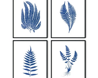 Conjunto de impresiones de helechos azules índigo: arte mural botánico en acuarela
