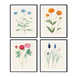 Botanische Drucke 4er Set - Botanische Kunst, Bauernhaus Dekor, Küche Wandkunst, Botanischer Garten Drucke, Botanisches Dekor, Garten Wandkunst