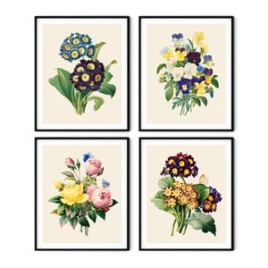 Botanische Drucke 4er Set - Botanische Kunst, Küchen Wandkunst, Botanischer Garten Drucke, Botanischer Pflanzendekor, Pfingstrose Drucke,Hortensie,Kamelien