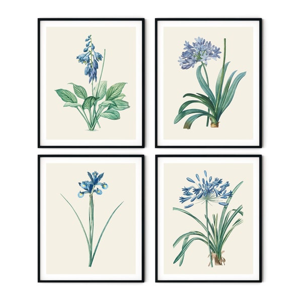 Vintage Blue Botanical Print Set of 4 No.2- Blue Flower Prints, Kitchen Decor, Redoute Botanical Art, Botanical Illustration,Blue Home Decor