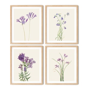 Paarse botanische print set van 4 - paarse bloemenprints, keukenkunst, botanische illustratie, boerderijkunst, botanische printset