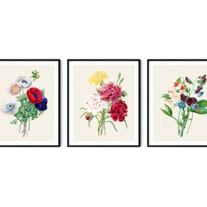 Pflanzendrucke 3er-Set - Botanische Kunst, Küchenkunst, Botanische Gartendrucke, Pflanzendekor, Küchendekoration, Bauernhausdekor