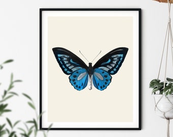 Vintage blauwe vlinderprint: natuurhistorische muurkunst