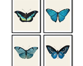 Vintage Butterfly Print Set of 4 - Butterfly Wall Art, Butterfly Decor, Gallery Wall Art, Beach House Decor, Natural History Art,Nursery Art