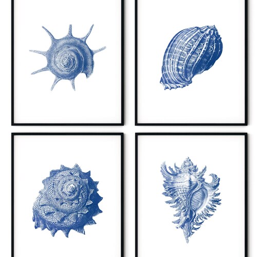 Blue Seashells Prints Set of 4. Coastal Printable Wall Art. Etsy