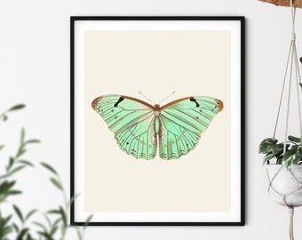 Vintage Grüner Schmetterling Print: Naturgeschichtliche Wandkunst