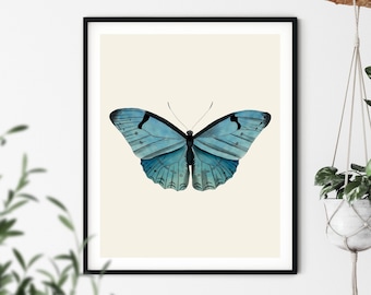 Vintage blauwe vlinderkunstdruk: natuurhistorische illustratie