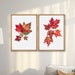 see more listings in the Flower Prints section