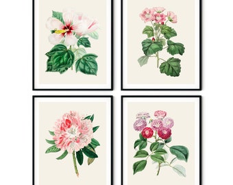 Pink Botanical Print Set of 4 - Pink Flower Prints, Pink Roses Print, Kitchen Decor, Redoute Rose Print, Farmhouse Art, Garden Wall Art