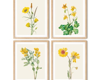 Yellow Botanical Print Set of 4 No.3 - Yellow Flower Prints, Kitchen Art Decor, Kitchen Print, Botanical Illustration, Farmhouse Decor