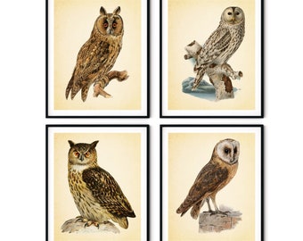 Vintage Owl Print Set of 4 - Owl Wall Art, Rustic Owl Decor, Vintage Bird Print, Farmhouse Decor, Natural History Art, Bird Illustration