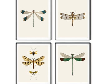 Transfers shower gift,Gift Tags download printable art image Nursery Quote art Vintage Dragonfly Wall Art