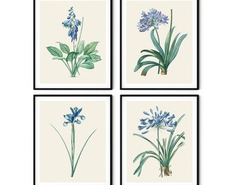 Vintage Blue Botanical Print Set of 4 No.2- Blue Flower Prints, Kitchen Decor, Redoute Botanical Art, Botanical Illustration,Blue Home Decor
