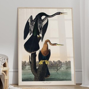 Peut inclure: Une impression encadrée de style vintage représentant deux oiseaux au plumage sombre perchés sur une branche, exposée dans une pièce avec une chaise en rotin clair, un tapis circulaire tressé et un livre ouvert posé sur le sol devant l'œuvre.