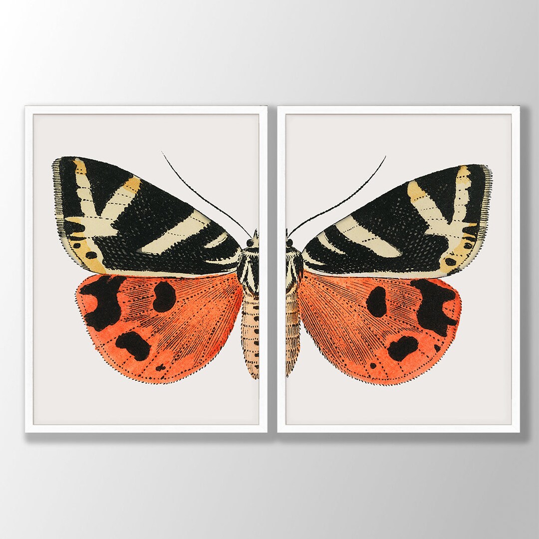 Vintage Butterfly Print Set: Boho Gallery Wall Art - Etsy