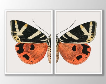 Conjunto de impresiones de mariposas vintage: arte de pared de galería boho