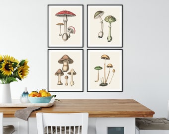 Vintage Mushroom Prints Set: Botanical Illustration Wall Art