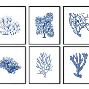 Indigo Blue Coral Prints Set of 6 - Blue Sea Coral Prints, Coastal Decor, Beach Cottage Decor, Coastal Art, Coastal Prints, Nautical Art