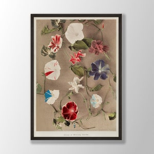 Vintage Morning Glory Print | Japanese Flower Wall Art, Flower Print, Botanical Print, Kitchen Wall Art, Farmhouse Decor, Bedroom Decor