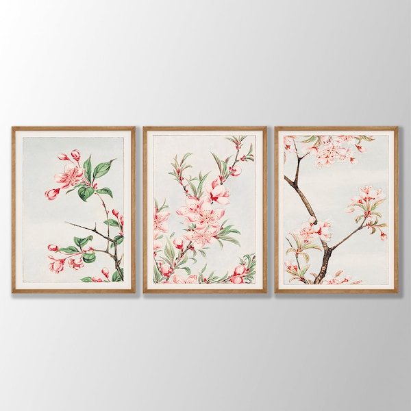 Japanische Blumendrucke 3er Set No: 2 - Japanische Blumen Poster, Japanische Kunst, Rosa Botanischer Druck, Küchendruck, Blumen,Farmhaus Dekor