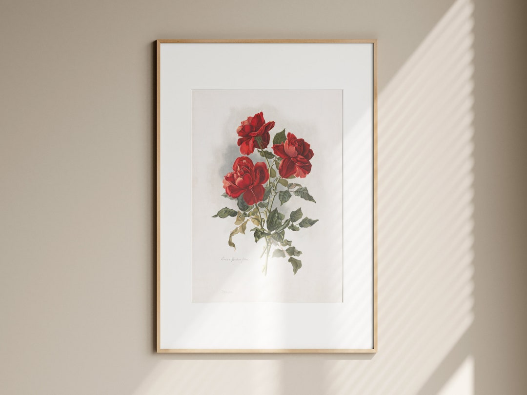 Vintage Red Rose Poster- Rose Wall Art, Botanical Art Print, Flower ...