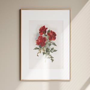 Cartel de rosa roja vintage: arte de la pared de rosas, impresión de arte botánico, arte de la pared de flores, arte de la pared de la cocina, arte de la granja - TAMAÑOS MÁS GRANDES DISPONIBLES
