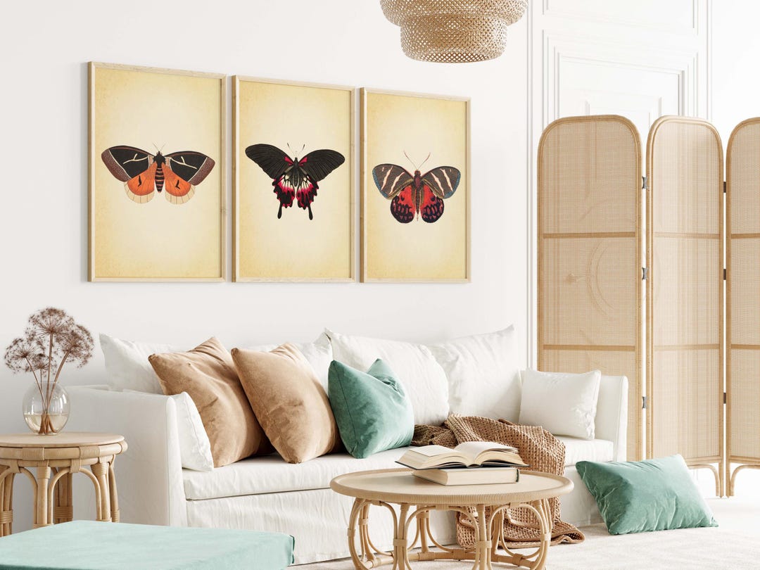 Vintage Butterfly Print Set of 3: Natural History Gallery Wall Art - Etsy