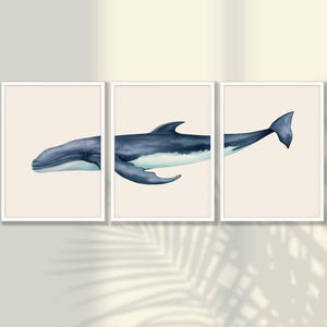 Watercolor Whale Prints Set of 3 - Whale Poster, Whale Wall Art, Nautical Wall Art, Beach House Decor, Living Room Decor, FRAMED OPTION