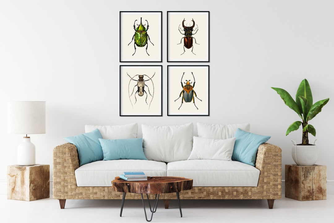 Vintage Beetle Print Set of 4 - Natural History Insect Wall Art - Etsy