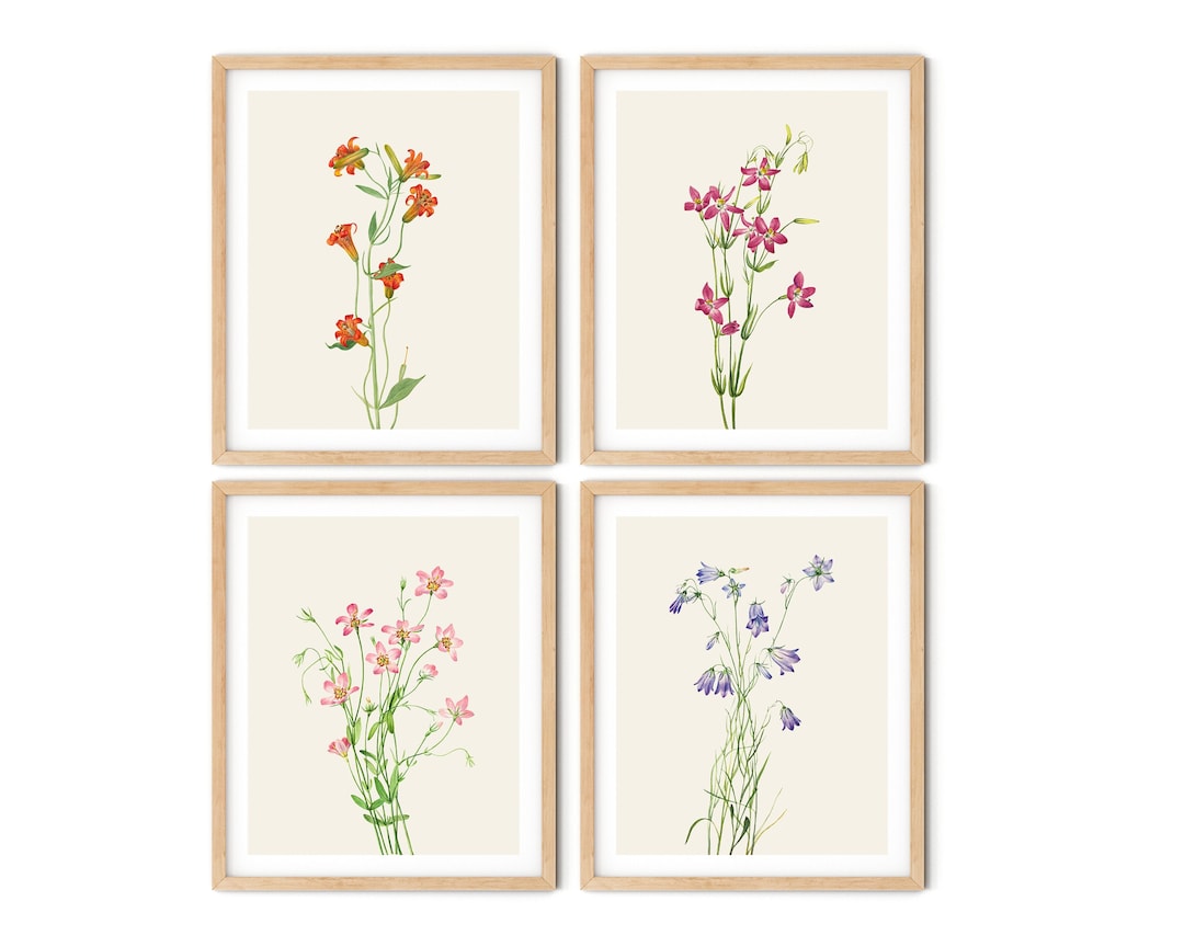 Wildflowers Print Set of 4 - Wildflower Wall Art, Botanical Prints ...